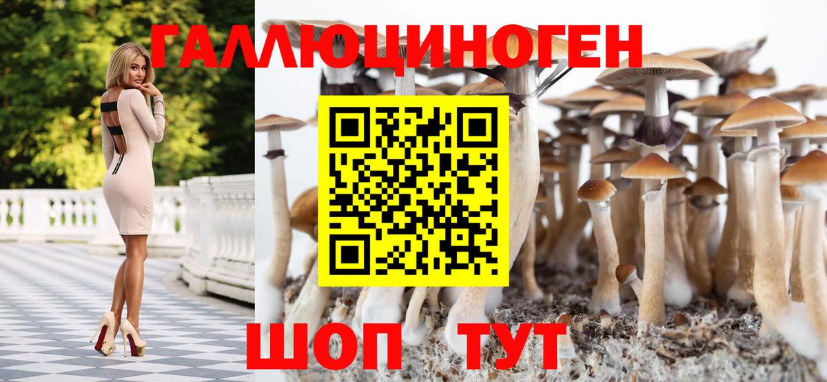 Псилоцибиновые грибы мухоморы Можга