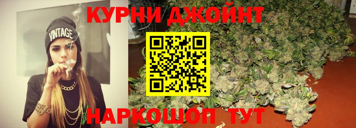 Конопля гибрид Можга
